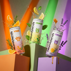 Mixed Box (12 Dosen á 330 ml)